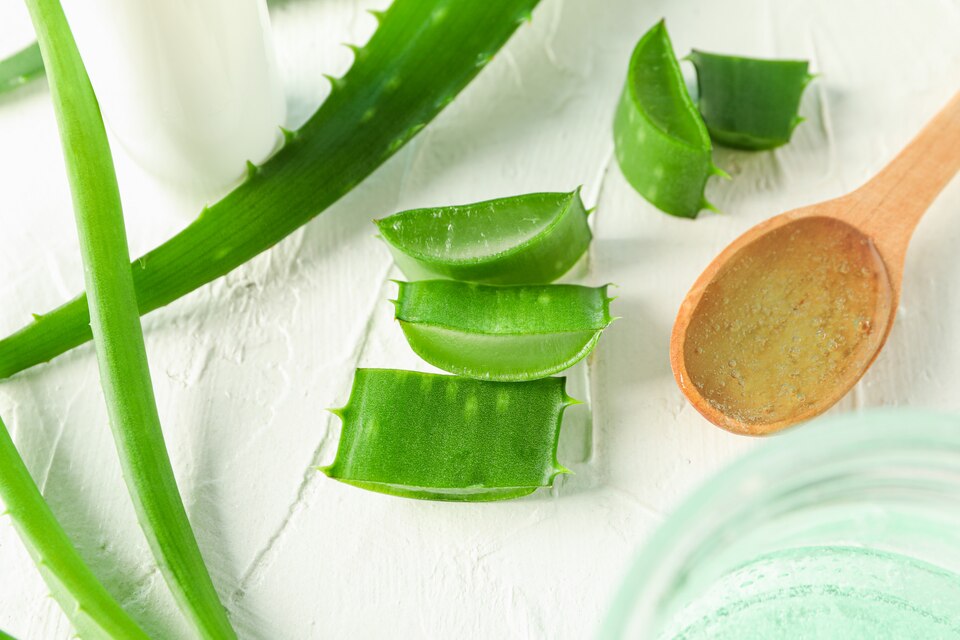 Aloe vera - Skin Benefits, Uses and BBB's Best Products to Try