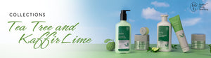 BBB Tea Tree & Kaffir Lime Skin and Hair Care Products 
